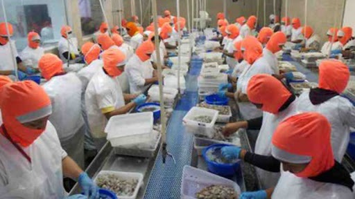 Xuất khẩu tôm Ecuador thời Covid-19 Hướng vào thị trường Trung Quốc