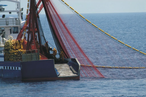 Costa Rica thỏa thuận cùng Global Fishing Watch chống khai thác IUU