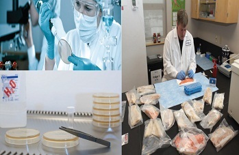 Mời tham dự chương trình “Cập nhật các chỉ tiêu và phương pháp kiểm vi sinh theo yêu cầu của các thị trường cho sản phẩm thủy sản” 