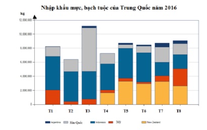 Xuất khẩu mực bạch tuộc sang Trung Quốc tăng mạnh trong tháng 112016