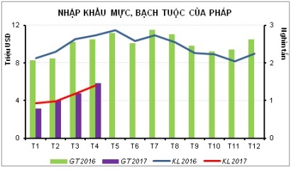 Xuất khẩu mực, bạch tuộc sang Pháp tăng 304%