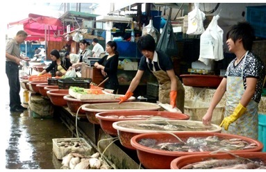 ASEAN trở thành nguồn cung thủy sản lớn nhất cho Trung Quốc