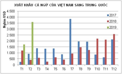 Xuất khẩu cá ngừ sang Trung Quốc tăng 771% 