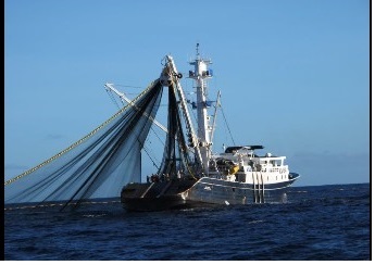 Nam Phi ủng hộ phân hạn ngạch khai thác tại cuộc họp của Ủy ban Cá ngừ Ấn Độ Dương