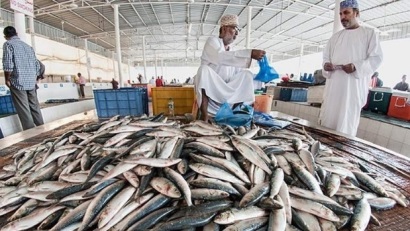 UAE triển khai ứng dụng xác định các loài bị cấm khai thác cho ngư dân