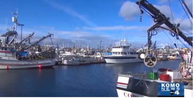 Mỹ Dịch corona làm gián đoạn hoạt động thương mại thủy sản ở Washington