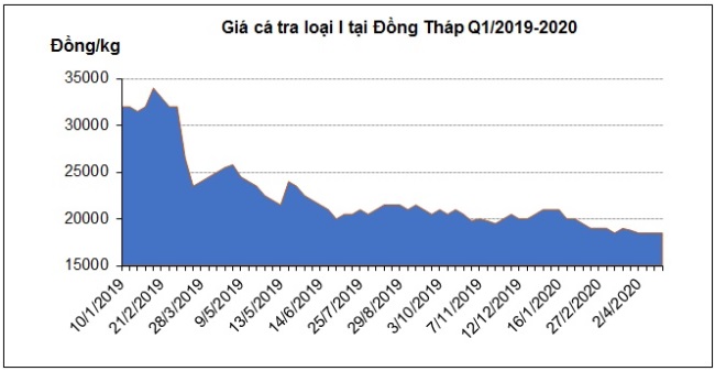 Chờ tín hiệu từ thị trường, giá cá tra nguyên liệu tiếp tục ổn định