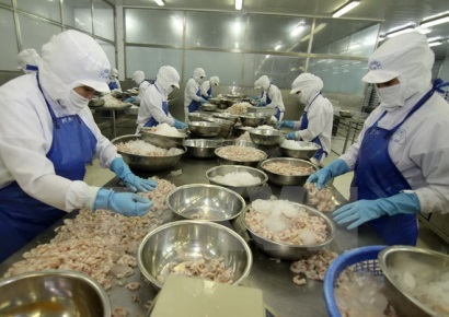 Năm 2016 Mỹ tăng nhập khẩu tôm 