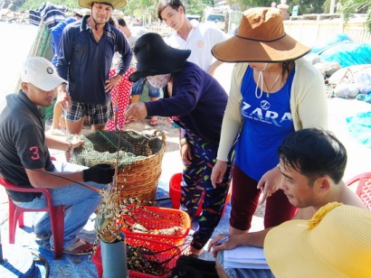 Nhơn Hải (TP Quy Nhơn, tỉnh Bình Định) Tôm hùm thương phẩm được giá