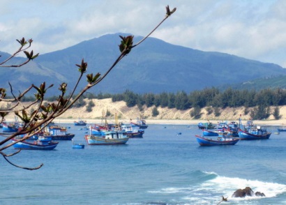 Nguyên liệu thủy sản nhập khẩu để xuất đi EU phải có CC trong hồ sơ xin xác nhận