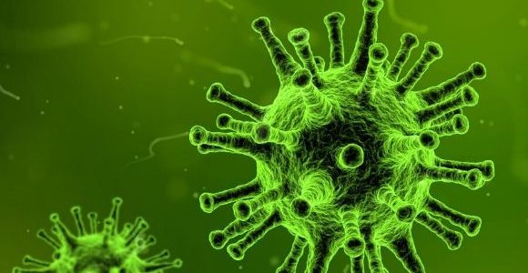 Trung Quốc báo cáo thêm 3 mẫu dương tính với coronavirus trên thủy sản nhập khẩu