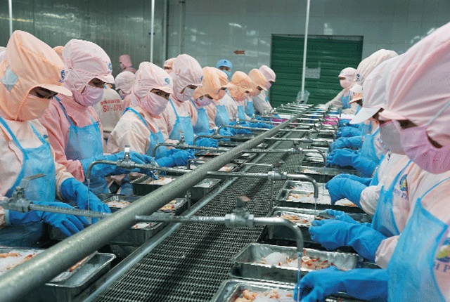 Minh Phú sẽ kháng cáo về quyết định áp thuế CBPG lên tôm Minh Phú như với tôm Ấn Độ