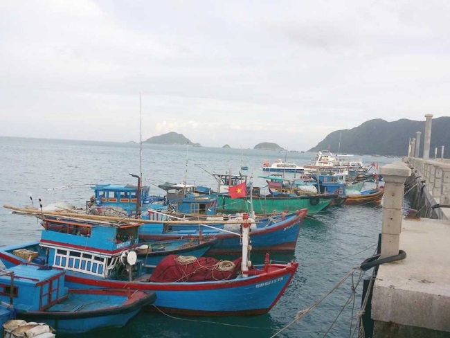 Quyết định 3905QĐ-BNN-TCTS chỉ định và công bố danh sách cảng biển cho tàu đánh bắt thủy sản, tàu vận chuyển, chuyển tải thủy sản, sản phẩm thủy sản có nguồn gốc từ khai thác của nước ngoài cập cảng Việt Nam