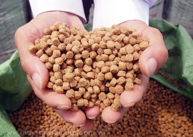 Công văn 2786TCTS-NTTS Khuyến cáo về việc sử dụng Ethoxyquin trong thức ăn thủy sản