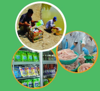 Khóa đào tạo K.2.17 “Kiểm soát hiệu quả hóa chất, kháng sinh trong chuỗi cung cấp thủy sản”