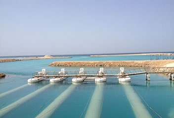 Mexico  Nuôi trồng thủy sản đang được khuyến khích phát triển