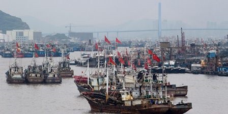 Tại sao Trung Quốc nên cải cách hệ thống khuyến ngư