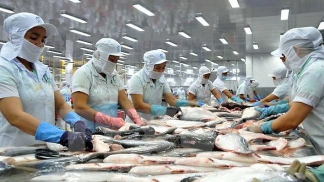 Hơn 130 doanh nghiệp cá tra tích cực xuất khẩu sang thị trường Trung Quốc