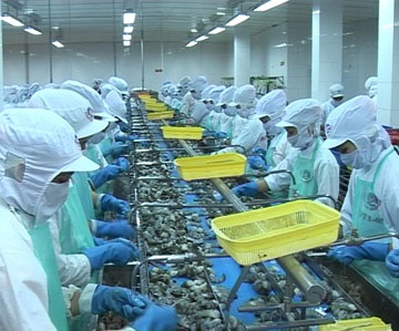 Cà Mau Huyện Năm Căn kim ngạch xuất khẩu thủy sản đạt trên 110% kế hoạch