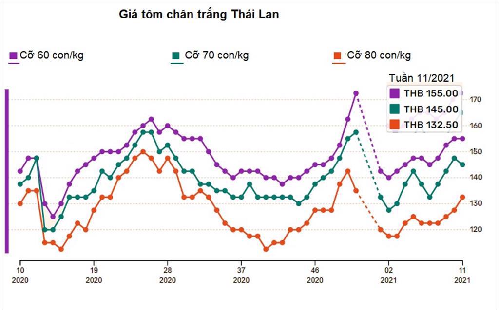 Giá tôm Thái Lan cỡ nhỏ tiếp tục tăng