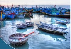 Hội thảo trực tuyến công bố Báo cáo “Đánh giá tác động kinh tế từ phân tích thương mại của việc không tuân thủ quy định về chống khai thác thủy sản bất hợp pháp, không báo cáo và không theo quy định (IUU): Trường hợp Việt Nam” 