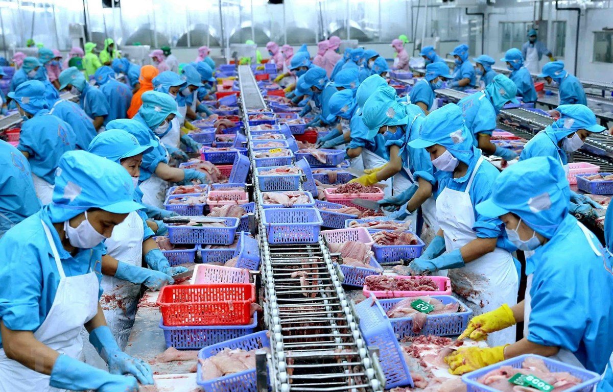 Xuất khẩu thuỷ sản Việt Nam trong bối cảnh EVFTA CPTPP và dịch COVID – 19