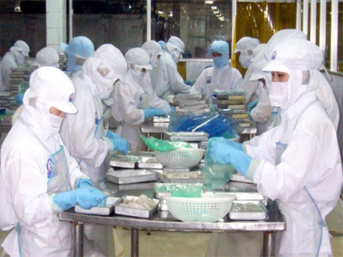 Xuất khẩu mực bạch tuộc sang Nhật Bản không ổn định  